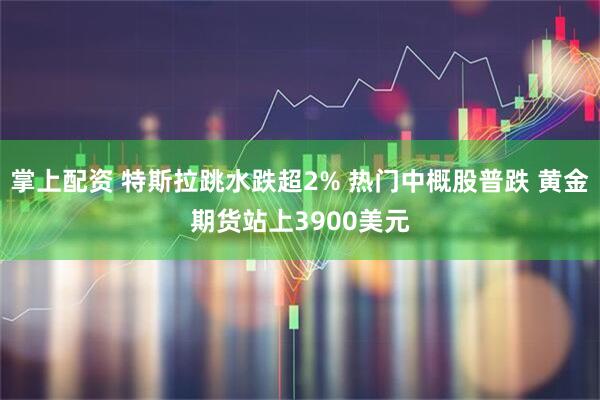 掌上配资 特斯拉跳水跌超2% 热门中概股普跌 黄金期货站上3900美元